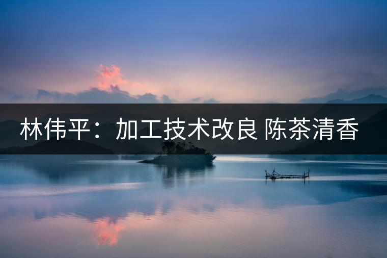 林偉平:加工技術改良 陳茶清香仍在 林偉平:加工技術改良 陳茶清香仍在