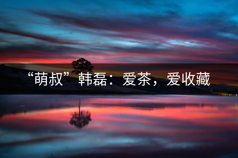 “萌叔”韓磊：愛(ài)茶，愛(ài)收藏