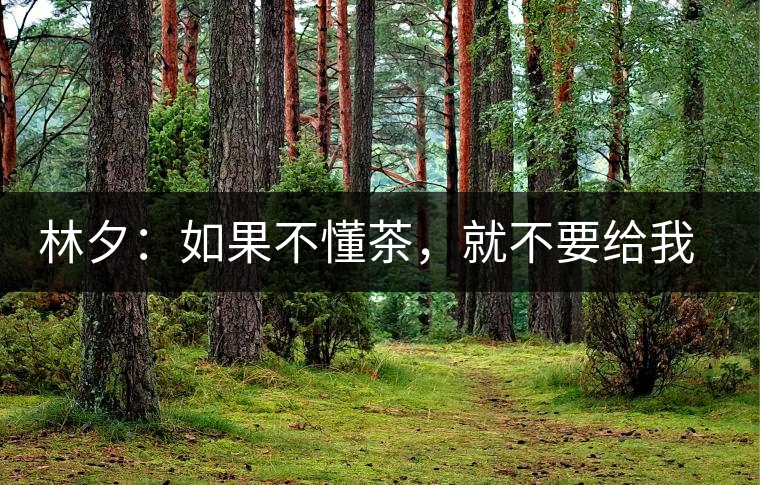 林夕：如果不懂茶，就不要給我送茶