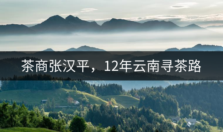 茶商張漢平，12年云南尋茶路