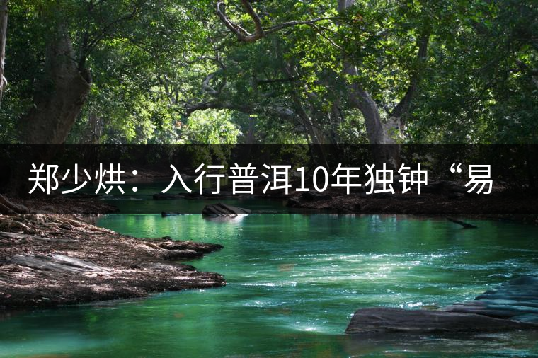 鄭少烘:入行普洱10年獨(dú)鐘“易武山頭” 鄭少烘:入行普洱10年獨(dú)鐘“易武山頭”