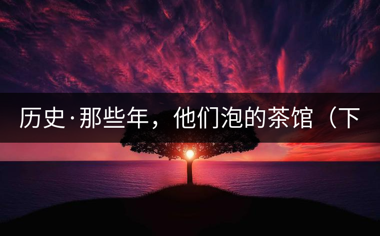 歷史·那些年，他們泡的茶館（下）