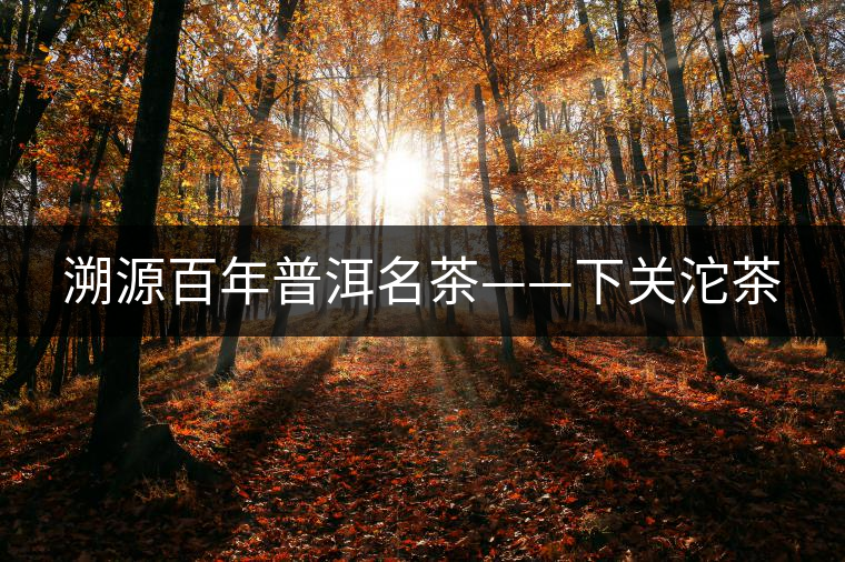 溯源百年普洱名茶——下關沱茶 溯源百年普洱名茶——下關沱茶