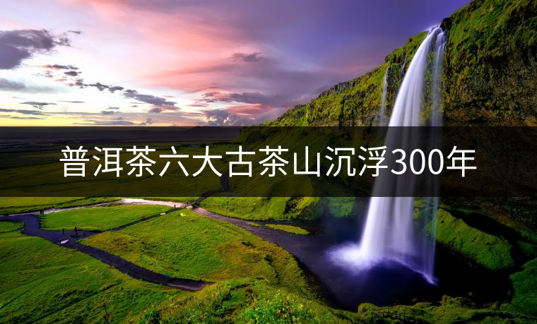 普洱茶六大古茶山沉浮300年