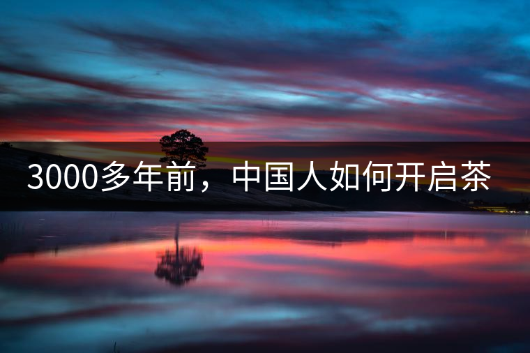 3000多年前，中國(guó)人如何開啟茶生活？