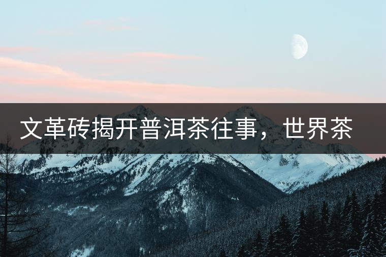 文革磚揭開(kāi)普洱茶往事，世界茶文化交流協(xié)會(huì)成員共品經(jīng)典文革磚！