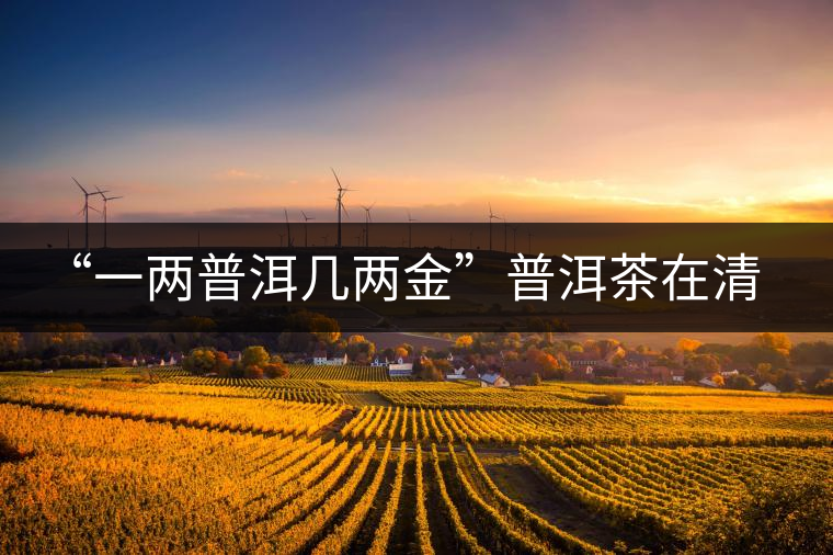 “一兩普洱幾兩金”普洱茶在清代為啥這么火？！