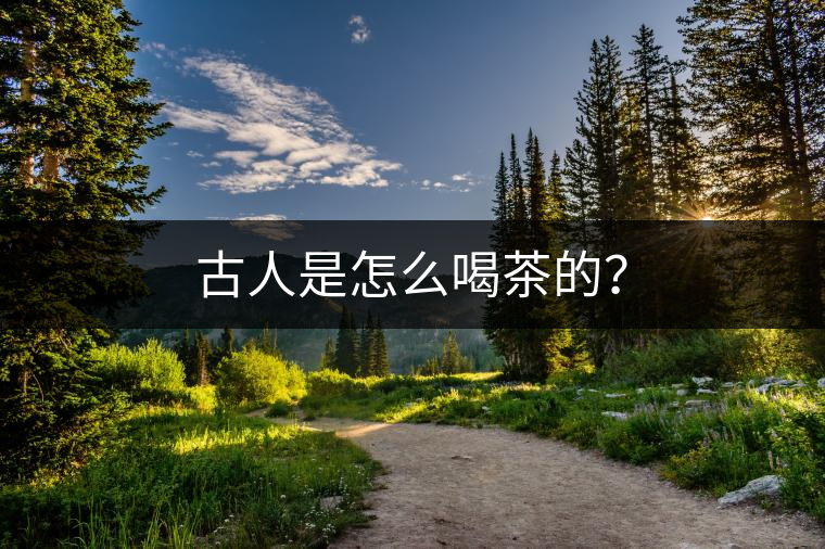 古人是怎么喝茶的？
