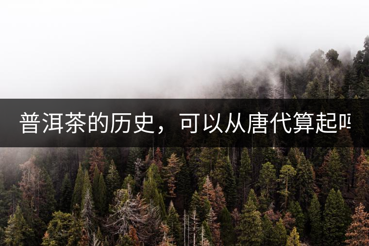 普洱茶的歷史，可以從唐代算起嗎？