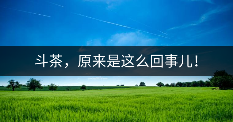 斗茶，原來是這么回事兒！