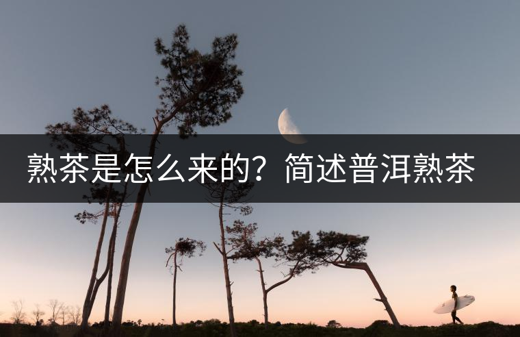 熟茶是怎么來的？簡(jiǎn)述普洱熟茶發(fā)酵工藝歷史