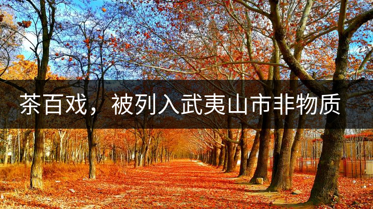 茶百戲，被列入武夷山市非物質(zhì)文化遺產(chǎn)的茶湯