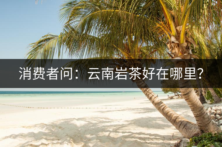 消費(fèi)者問(wèn)：云南巖茶好在哪里？