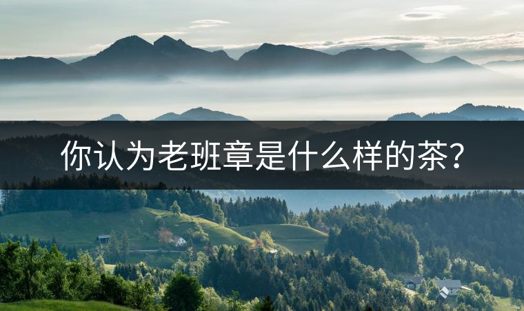 你認(rèn)為老班章是什么樣的茶？