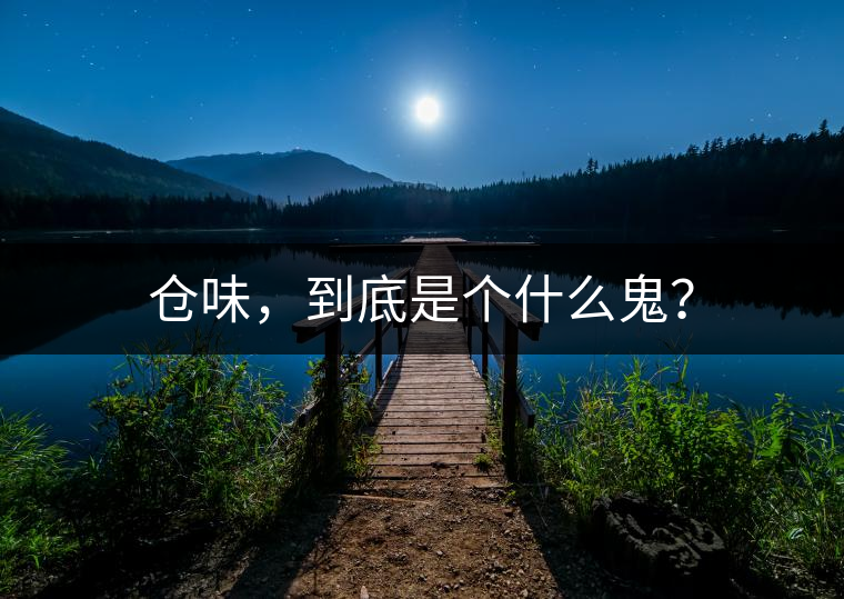 倉味，到底是個(gè)什么鬼？