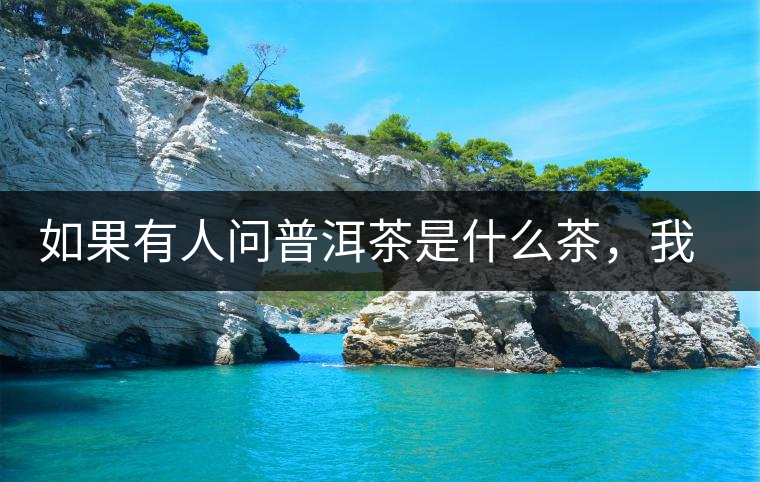 如果有人問普洱茶是什么茶，我就請(qǐng)他看這個(gè)段子