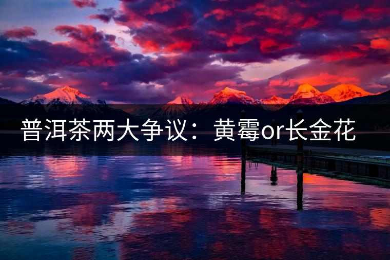 普洱茶兩大爭議：黃霉or長金花，生蟲or蟲屎茶