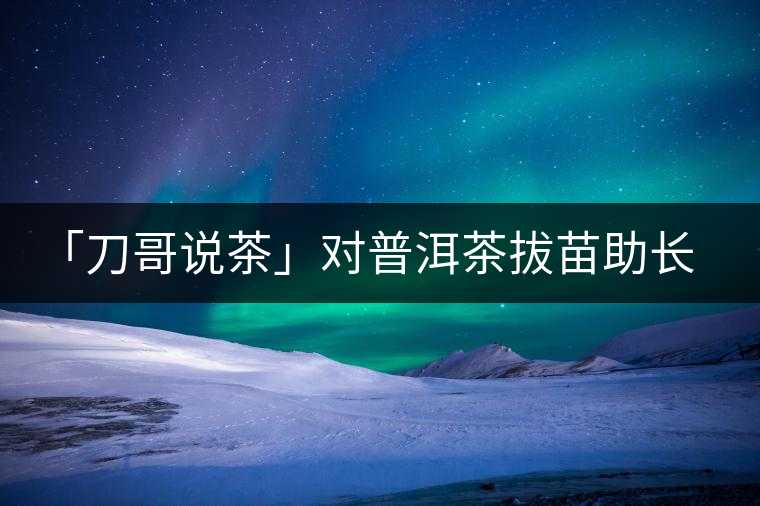「刀哥說(shuō)茶」對(duì)普洱茶拔苗助長(zhǎng)的做舊就是在作死 「刀哥說(shuō)茶」對(duì)普洱茶拔苗助長(zhǎng)的做舊就是在作死