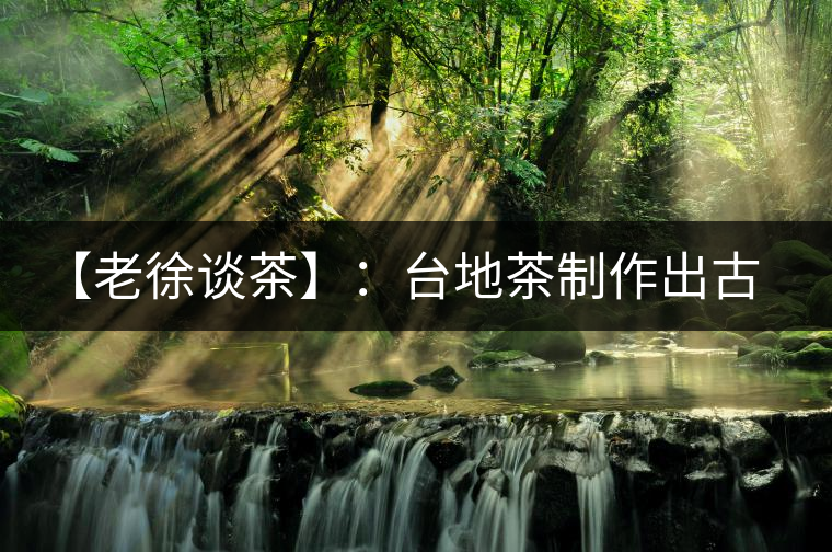 【老徐談茶】：臺地茶制作出古樹茶口感？只需一招，輕松騙過你 ?