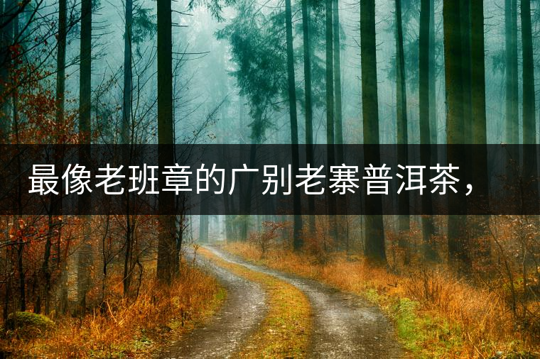 最像老班章的廣別老寨普洱茶，卻是冰島派來的臥底