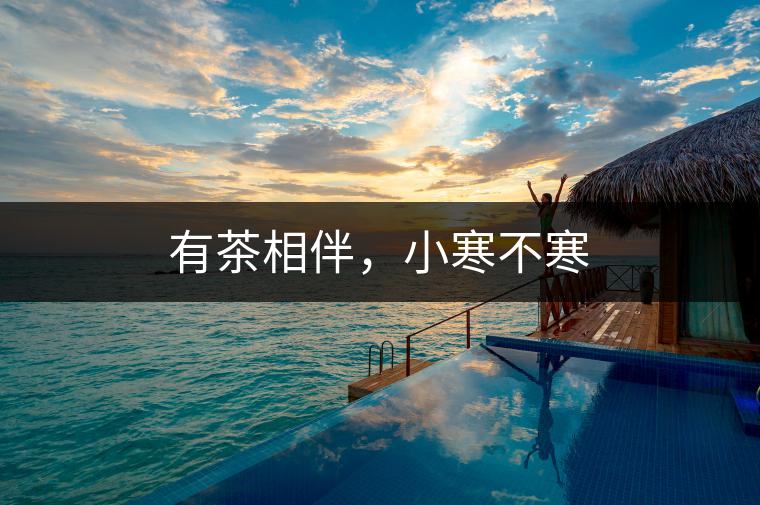 有茶相伴，小寒不寒