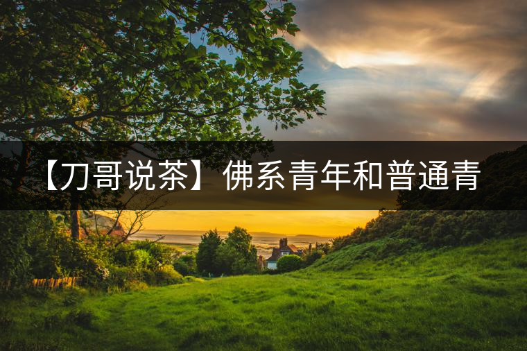 【刀哥說(shuō)茶】佛系青年和普通青年之間，只差一杯茶