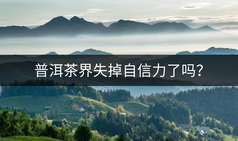 普洱茶界失掉自信力了嗎？