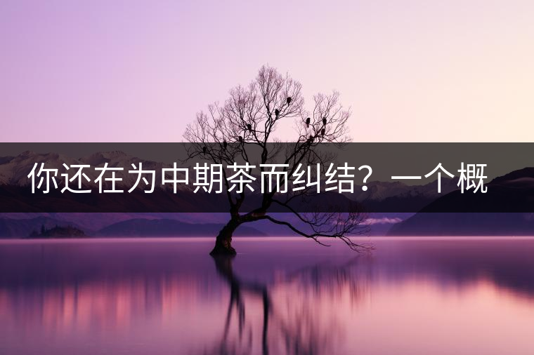 你還在為中期茶而糾結？一個概念罷了