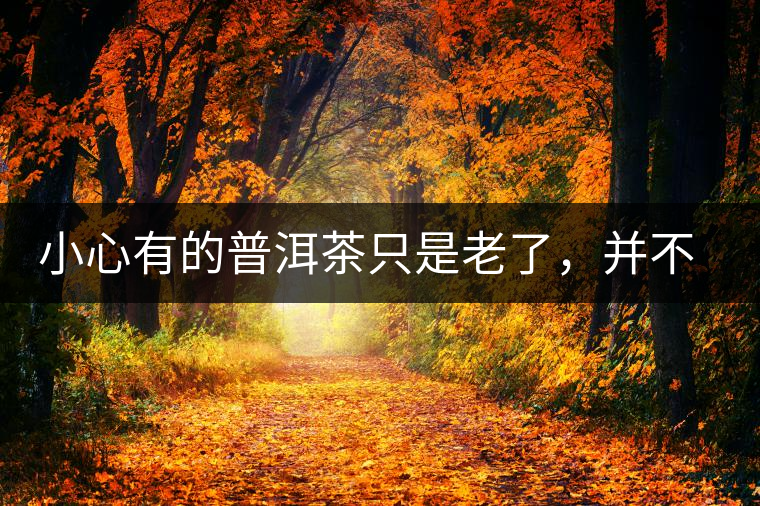 小心有的普洱茶只是老了，并不是好了