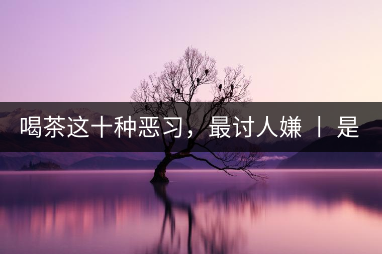 喝茶這十種惡習，最討人嫌 丨 是否同感？