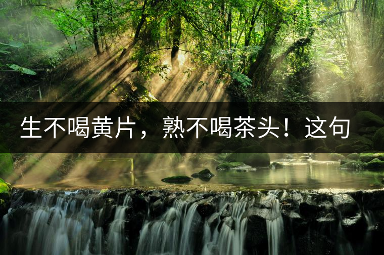 生不喝黃片，熟不喝茶頭！這句話你了解多少？