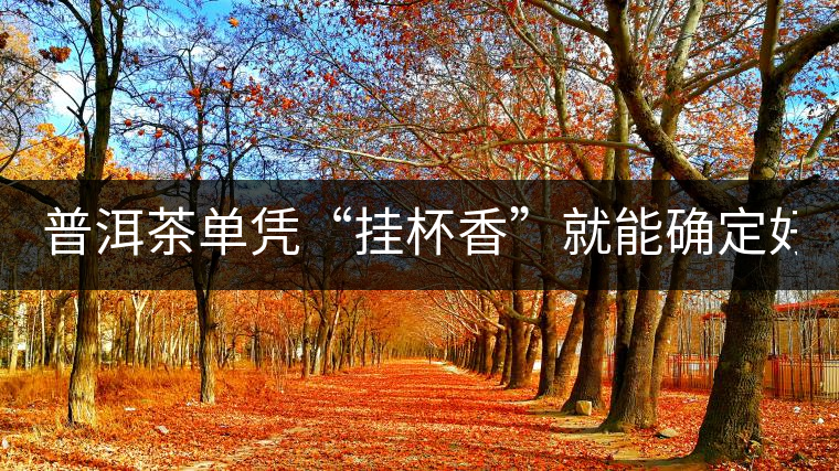 普洱茶單憑“掛杯香”就能確定好壞？you錯了！