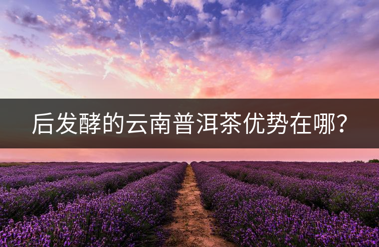 后發(fā)酵的云南普洱茶優(yōu)勢在哪？