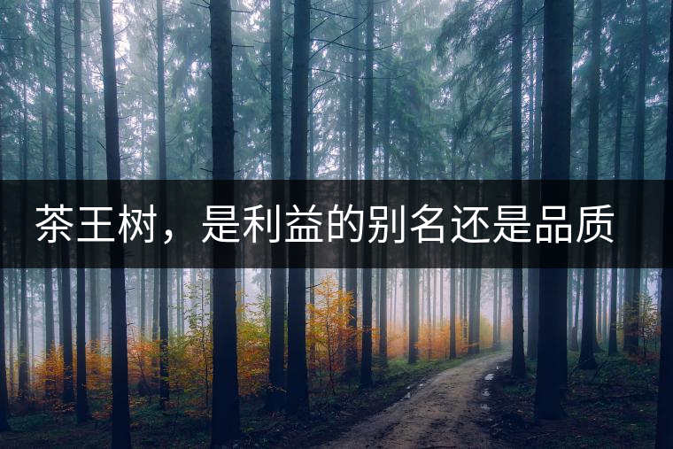 茶王樹，是利益的別名還是品質(zhì)的象征？