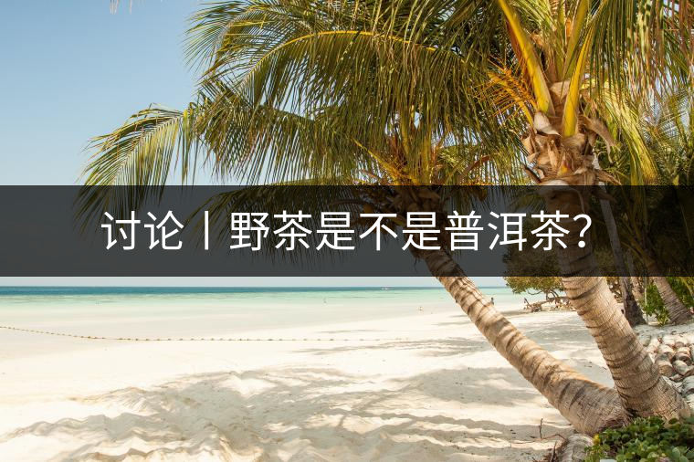 討論丨野茶是不是普洱茶？