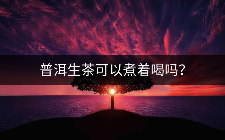 普洱生茶可以煮著喝嗎？