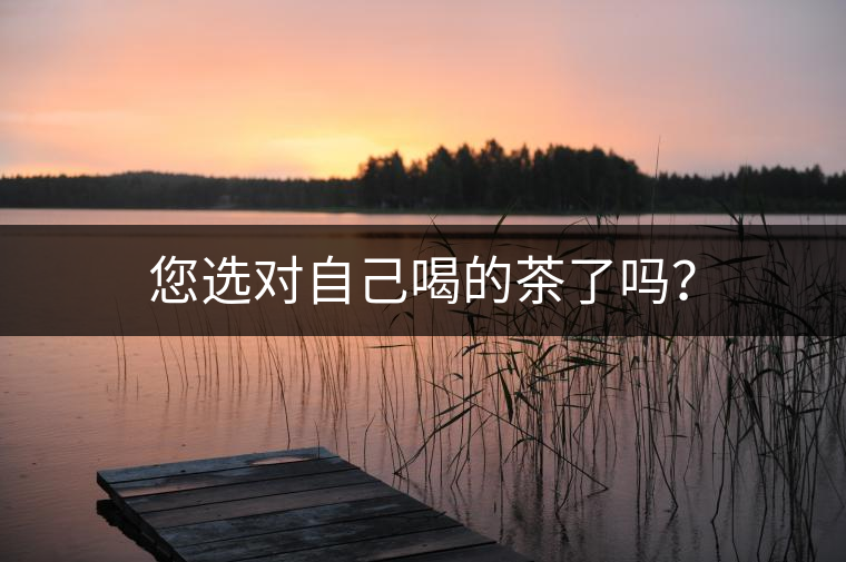 您選對自己喝的茶了嗎？