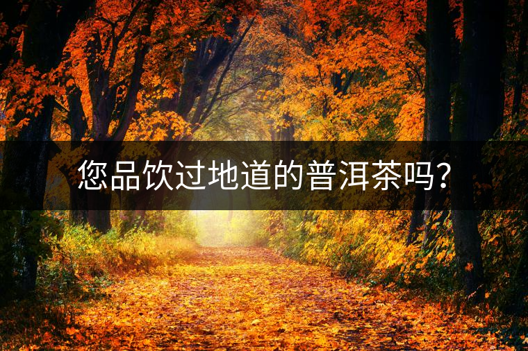 您品飲過地道的普洱茶嗎？
