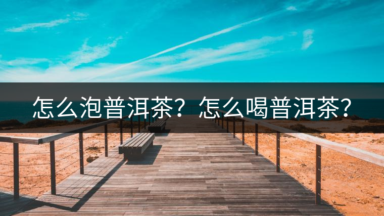 怎么泡普洱茶？怎么喝普洱茶？
