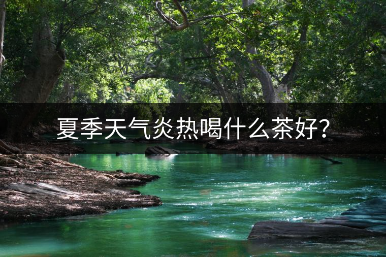 夏季天氣炎熱喝什么茶好？