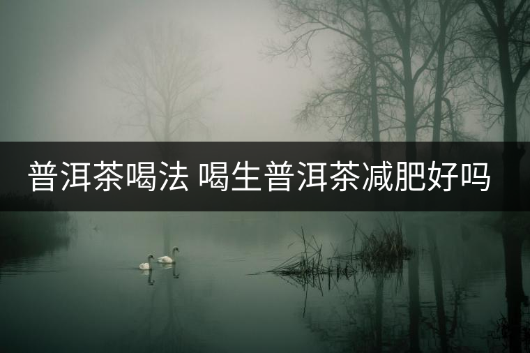 普洱茶喝法 喝生普洱茶減肥好嗎？