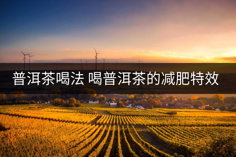 普洱茶喝法 喝普洱茶的減肥特效是什么呢？