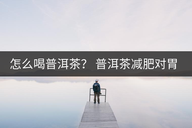 怎么喝普洱茶？ 普洱茶減肥對(duì)胃有副作用嗎？