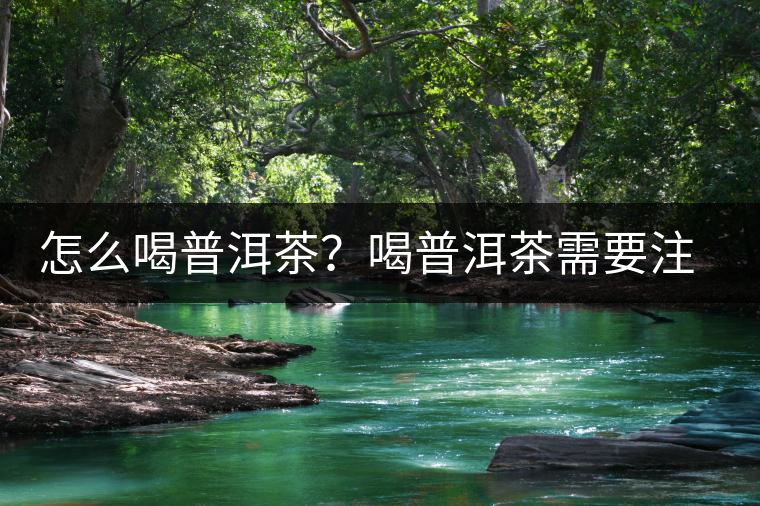 怎么喝普洱茶？喝普洱茶需要注意的要點(diǎn)