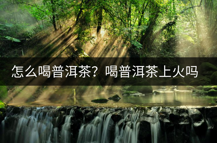 怎么喝普洱茶？喝普洱茶上火嗎？喝普洱茶會(huì)不會(huì)上火？