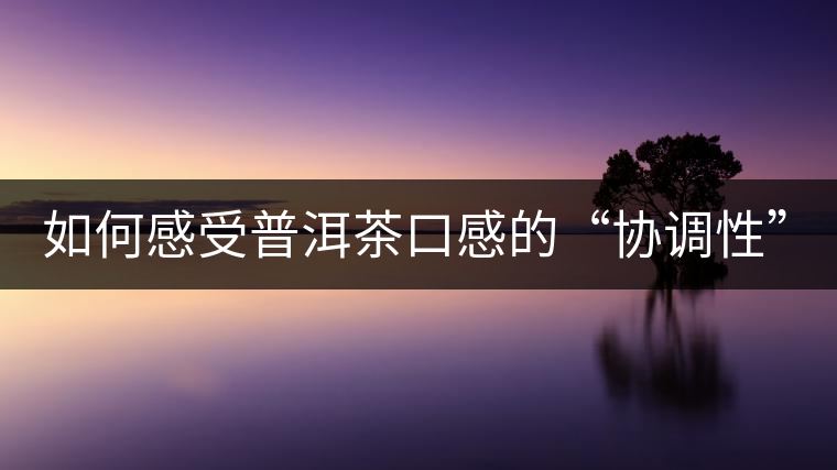 如何感受普洱茶口感的“協(xié)調(diào)性”？