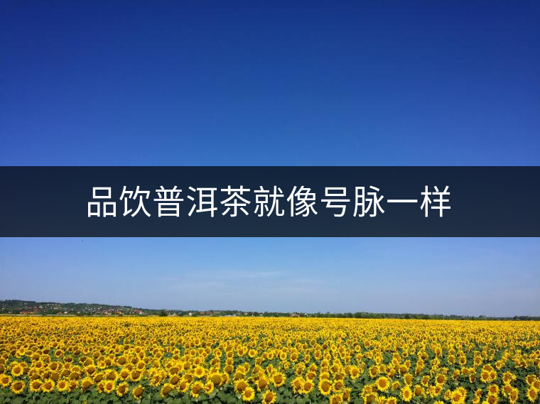 品飲普洱茶就像號(hào)脈一樣