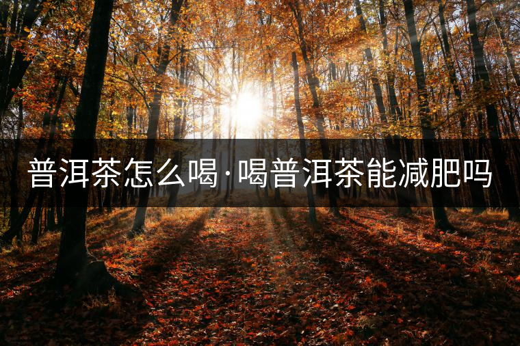 普洱茶怎么喝·喝普洱茶能減肥嗎？