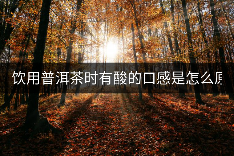 飲用普洱茶時有酸的口感是怎么原因？