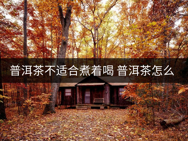 普洱茶不適合煮著喝 普洱茶怎么喝？